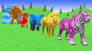 Long Slide Game With Elephant Gorilla Buffalo Hippopotamus Tiger 3d Animal Game Funny 3d Animals screenshot 5