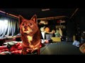 7日間の車中泊キャンプ 夫婦と愛犬の旅 富山で雨の車中泊 ①