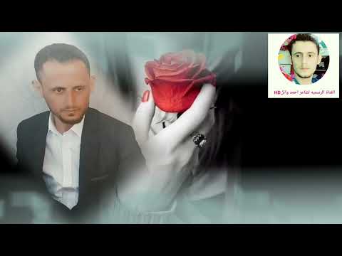 الشاعر احمد وائل قصيدة لولا الهوى حالة واتساب