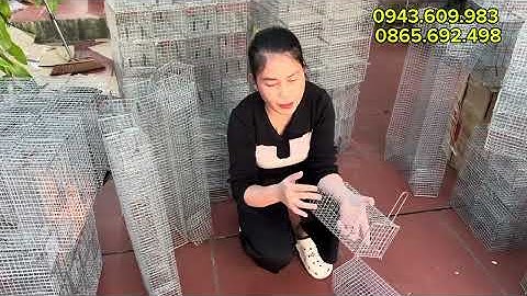 ❤️🐭🦊LỒNG BẪY CHUỘT ĐƯỜNG MÒN, CỐNG NHUM, SÓC ĐẤT , LỒNG CẦY CÁO , CHỒN , LỒNG RẮN ,, TẶNG LÒ XO, ❤️💥