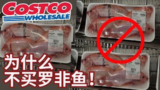 【Coscto购物,为什么不买罗非鱼?】罗非鱼来源, 喂养饲料,饲养环境,抗生素隐患。。。【EN/中文Sub】