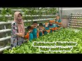 sditalmubarok #studyoutdor Belajar Sambil Bermain #hidroponik #urbanfarming #hidroponikindonesia