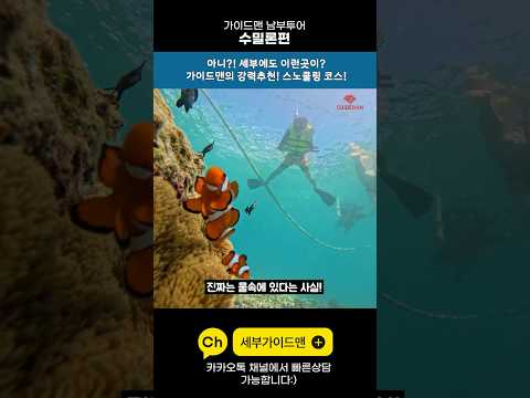 [Shorts]비주얼 미쳤다! 수밀론 섬 샌드바+코랄 스노클링 사기 조합 🏖️