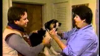 The Chester County SPCA