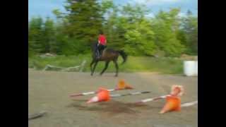 Edward Learning To Canter
