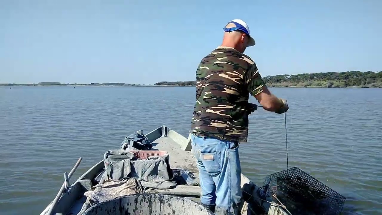 Pesca con le nasse per granchi blu (ogni tanto mi rubano una nassa)