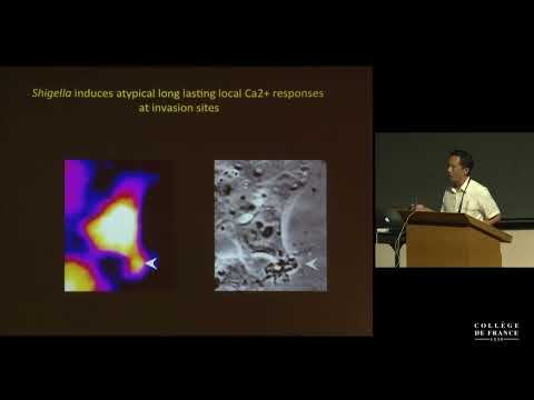 Seeing Is Believing - 3: From Ultra Small Images to Ultra Big Data (9) - P. Sansonetti (2014-2015)