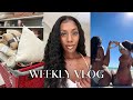 FIGURING OUT LIFE, BEING DOWN, GOING BACK HOME, DECORATING, CELEBRATING LOVE &amp; MORE | WEEKLY VLOG