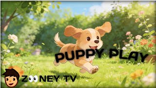 Puppy Play Nursery Rhymes    