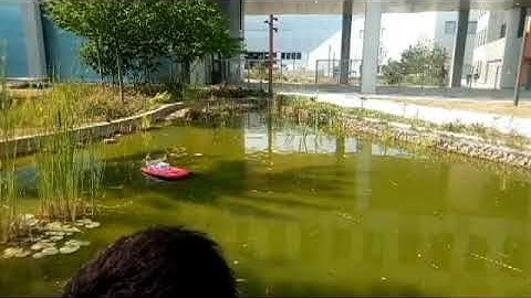 Pixhawk & Simulink based control system designed for an autonomous boat