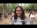 MEVEN - RESUMEN 2018