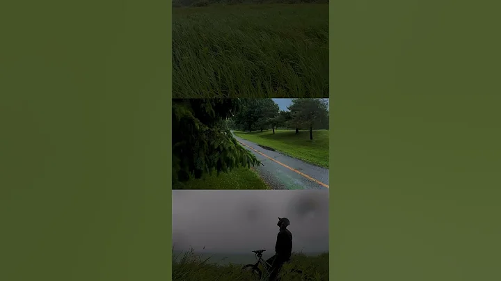 Feel the Rain | Rainy day Feelings - Color of Moody - DayDayNews
