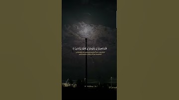 سورة البقرة #اكسبلور #trending #قرآن #quran #سورة_البقرة #ترند #تيك_توك #لايك #beauty_of_islam