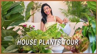 Best indoor plants for beginners low light| low maintenance plants indoor | Cozy plants tour. by Shikha Singh 668 views 1 year ago 19 minutes