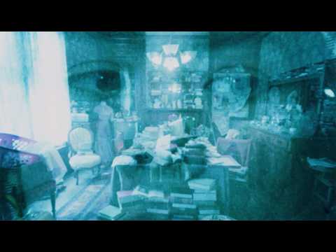 That White Cat (Lyrics)