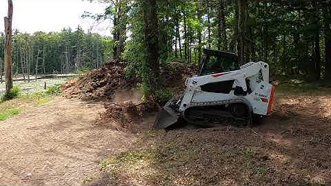 Bobcat T-650 pushing over a BIG pine tree!!
