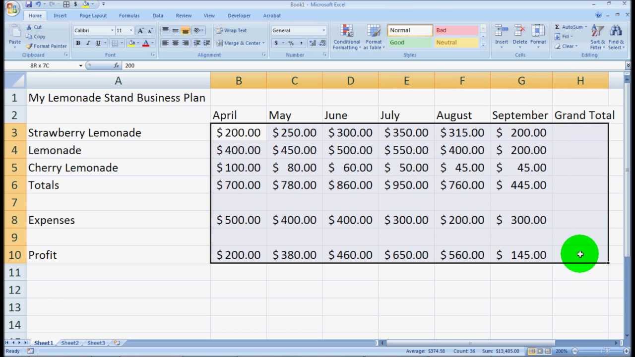 microsoft excel 2007 tutorial