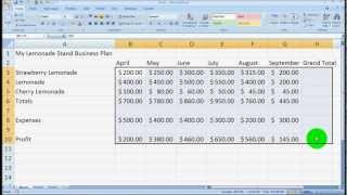 Microsoft Excel Overview for Beginners Tutorial - Excel 2003, 2007, 2010(This tutorial is a brief overview of Microsoft Excel and a few of its basic functionalities. This video is intended for people that know a little about computers but are ..., 2011-08-25T17:15:06.000Z)