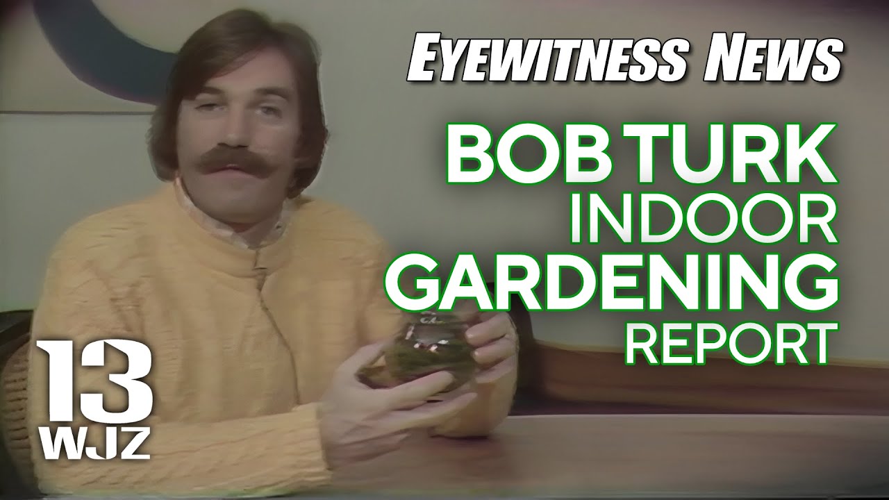 WJZTV Baltimore Bob Turk on Indoor Gardening 12777 WJZ 13