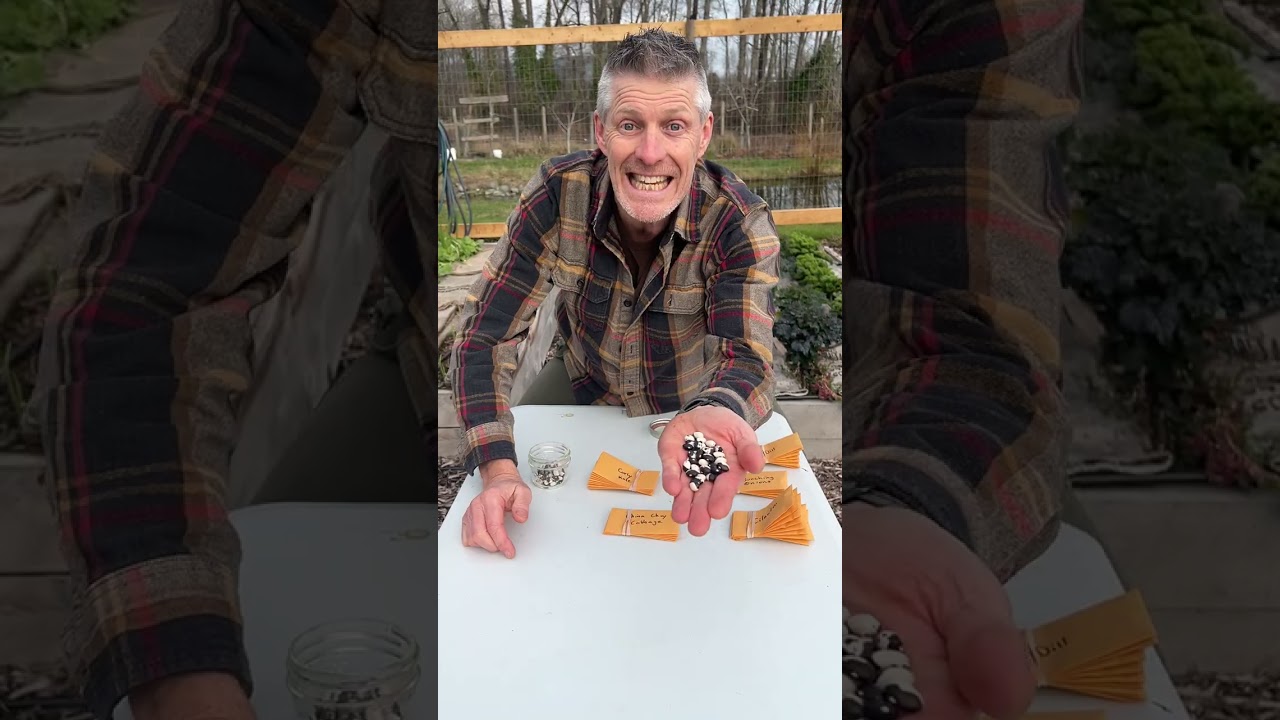 Преимущества сохранения семян овощей