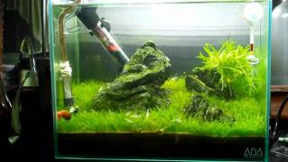 ADA Mini S Aquarium