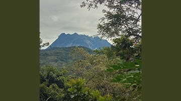 Dulu
