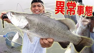 ひっちゃんが覚醒して怪魚釣りまくり！~台湾釣行 #7~