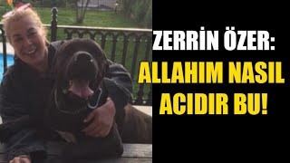 Zerrin Özer Hastaneye Kaldırıldı