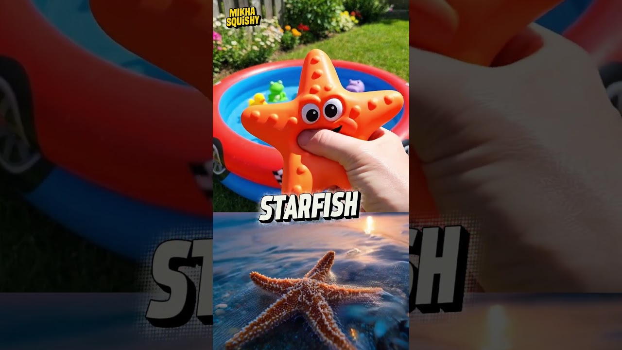 Fun Sea Animal Names Learning  Fish Seahorse Starfish Whale Hammerhead Shark 