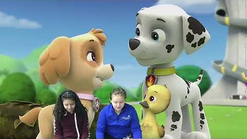 Biosphere an Hydrosphere Problems