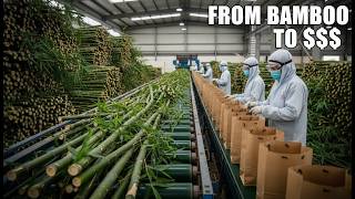 How We Made Paper Bags From Bamboo! Eco-Friendly DIY screenshot 5