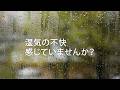 除湿機 サラリpro「ハイパワー除湿で年中・家中快適!」【三菱電機公式】