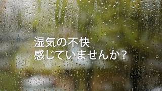 除湿機 サラリpro「ハイパワー除湿で年中・家中快適！」【三菱電機公式】