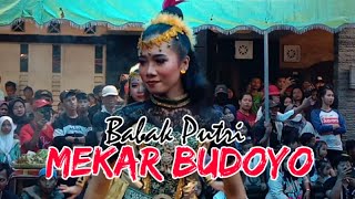 MEKAR BUDOYO Jathilan Kreasi Putri X GEDRUK || Di Dukuh Kemusuh, Banyurejo, Tempel, Sleman