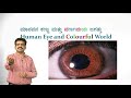      10th  human eye and colourful world