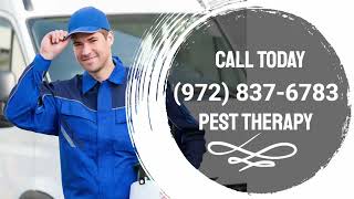 Termite Treatment And Termite Control McKinney - Pest Therapy