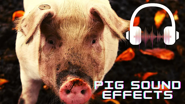 Pig grunting sound effect| Pig sounds | Pig squeal