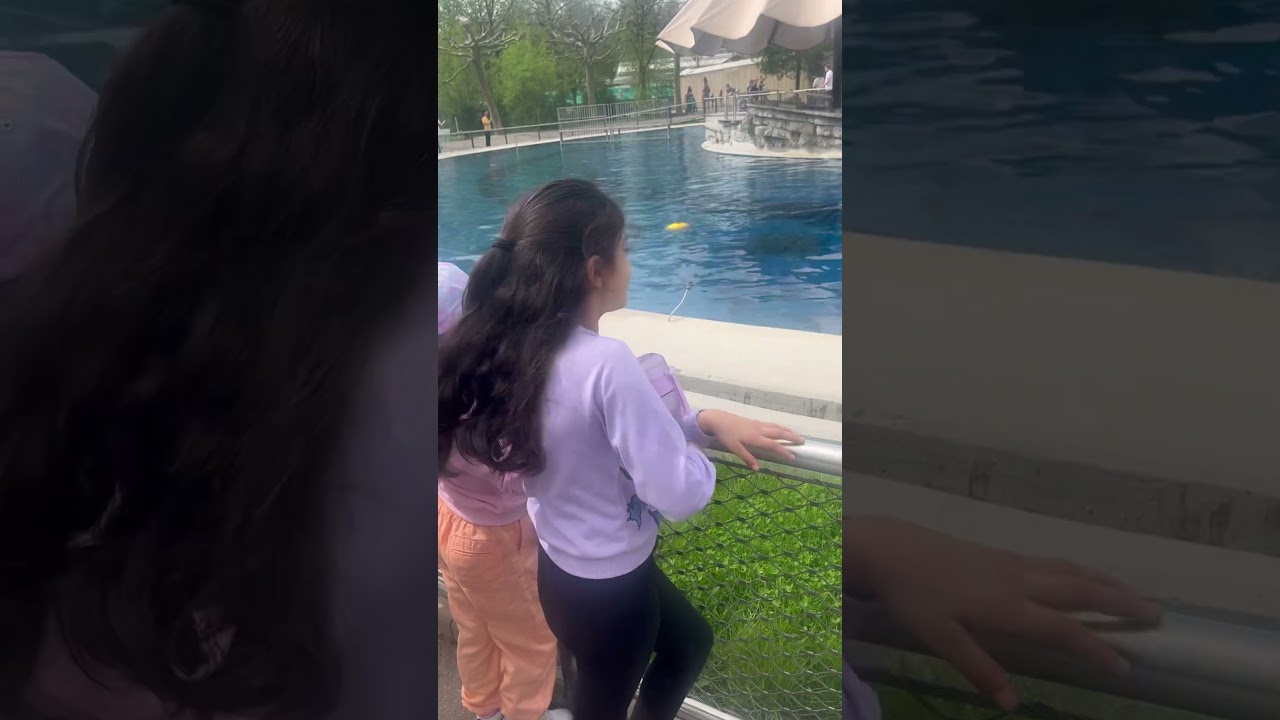 Ein Tag in der Wilhelma 🌿🦒So viele schöne Tiere und Natur – einfach traumhaft!“#stuttgart #shorts