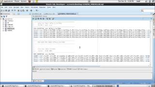 IMPORTACIÓN Y EXPORTACION DE ESQUEMAS EN ORACLE 11G