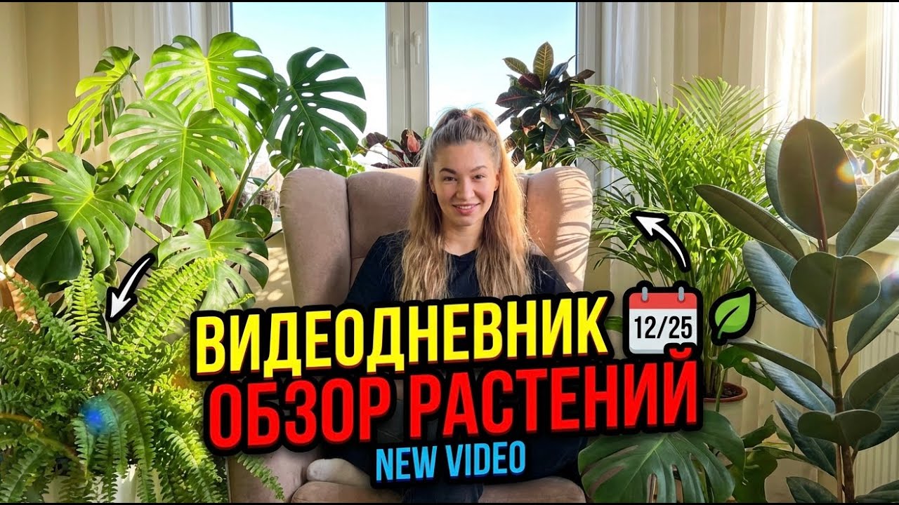 Моя коллекция комнатных растений! ДО/ПОСЛЕ Как изменились растения за три месяца у меня дома?