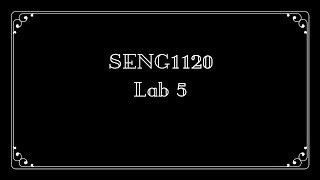 Celebrity Lab5 Net Worth