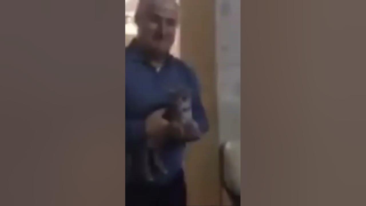 Мем дед на гироскутере с котом Дед с котом на гироскутере: найдено 87 изображений