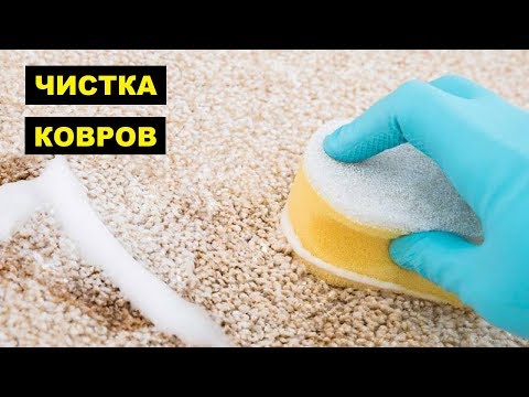 Чистка ковров как бизнес идея для начинающего предпринимателя | Клининг бизнес