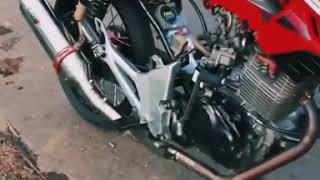 Storywa Anak Herex Tiger