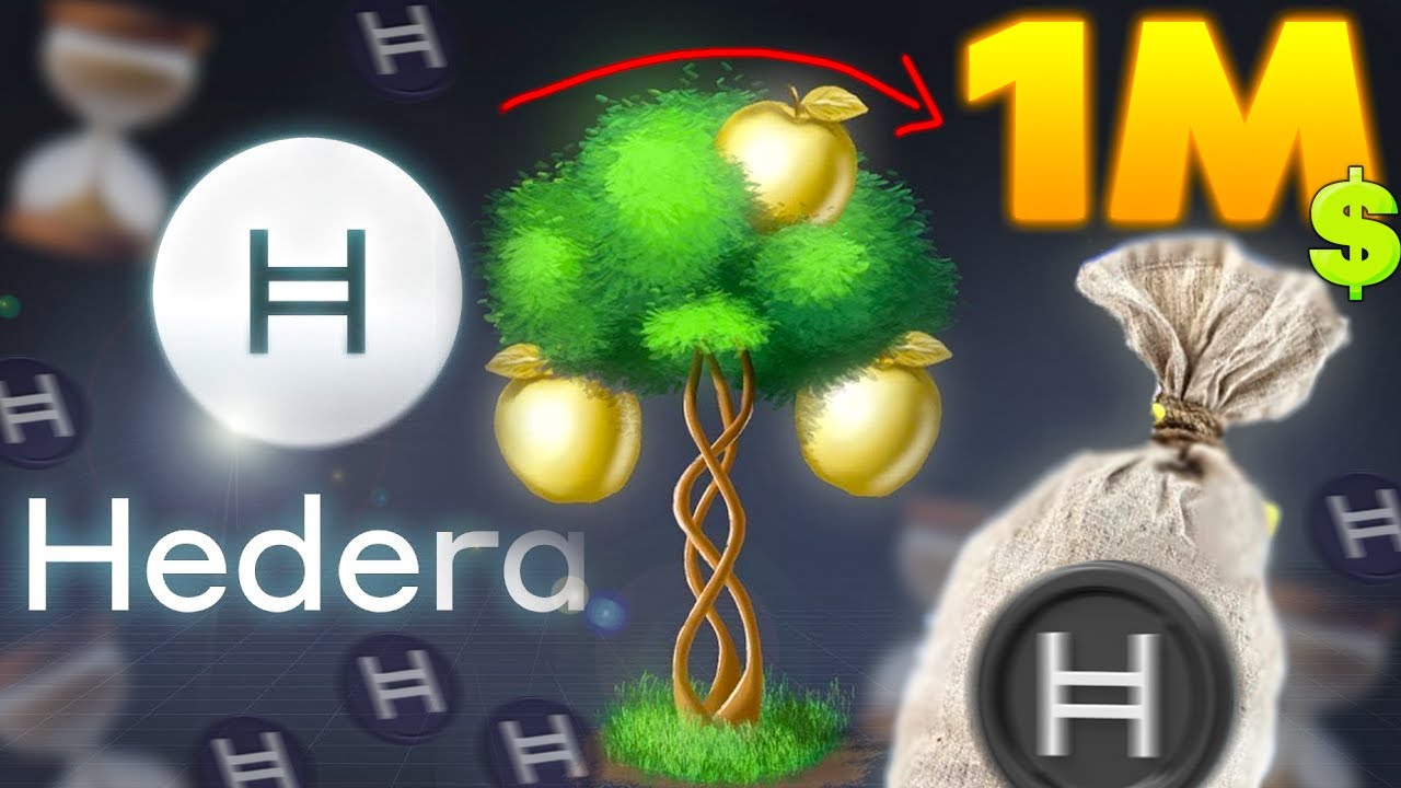 ¿Cuánto HEDERA (HBAR) Necesito para ser MILLONARIO en el próximo Bullrun?