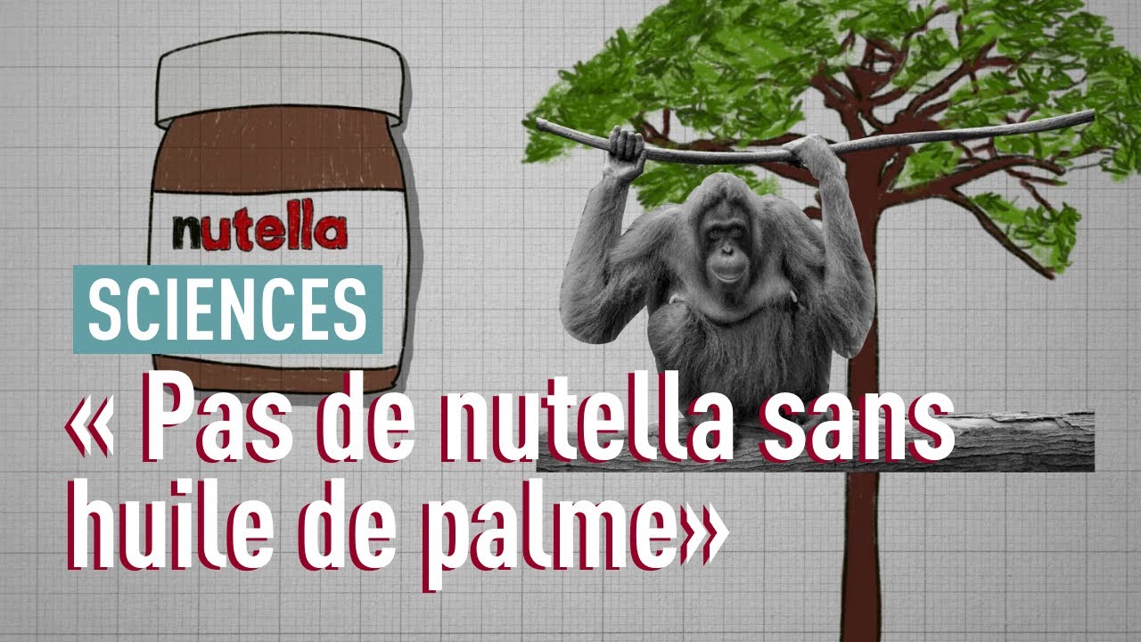 L’huile de palme: c’est quoi le problème? — Transcript