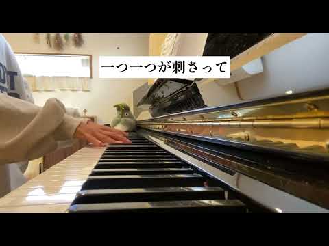 恋だろ　wacci