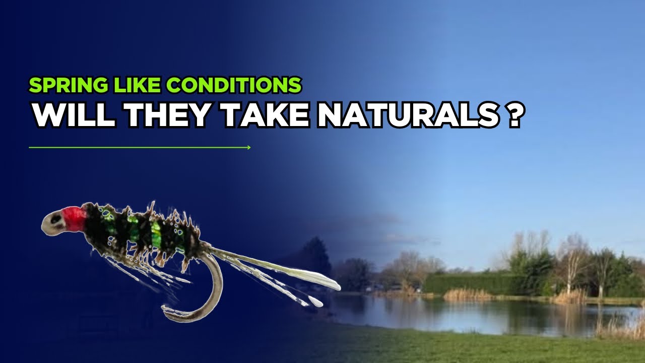 Fly Fishing UK - Ellerdine Lakes - Fishing Naturals - Buzzers - Nymphs - Apps Worm -Stillwater Trout