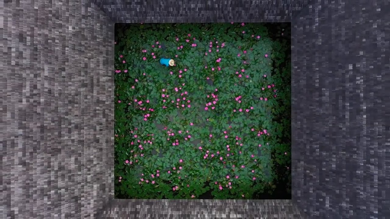 The Datai Langkawi Welcomes You Back