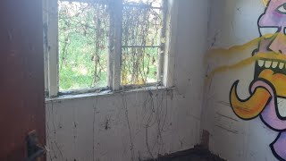 My Abandoned house New Zealand 2, lets get in there and take a closer look